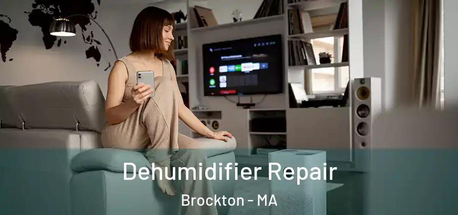  Dehumidifier Repair Brockton - MA