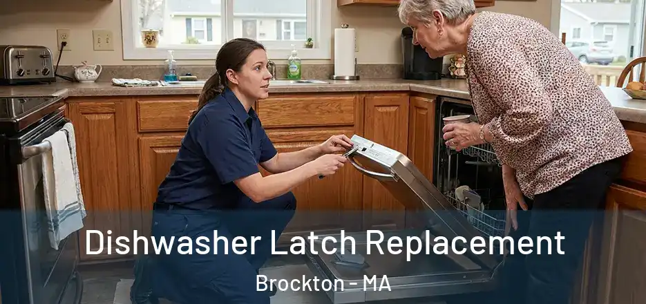  Dishwasher Latch Replacement Brockton - MA