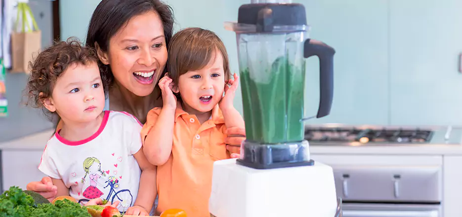 Juicer and Mixer Blender Repair in Brockton 
