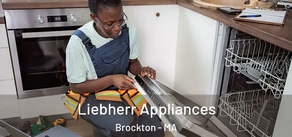  Liebherr Appliances Brockton - MA