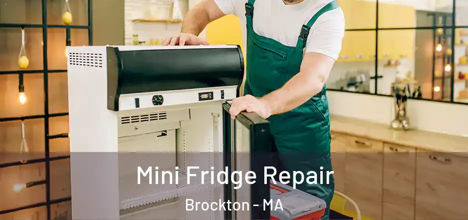  Mini Fridge Repair Brockton - MA