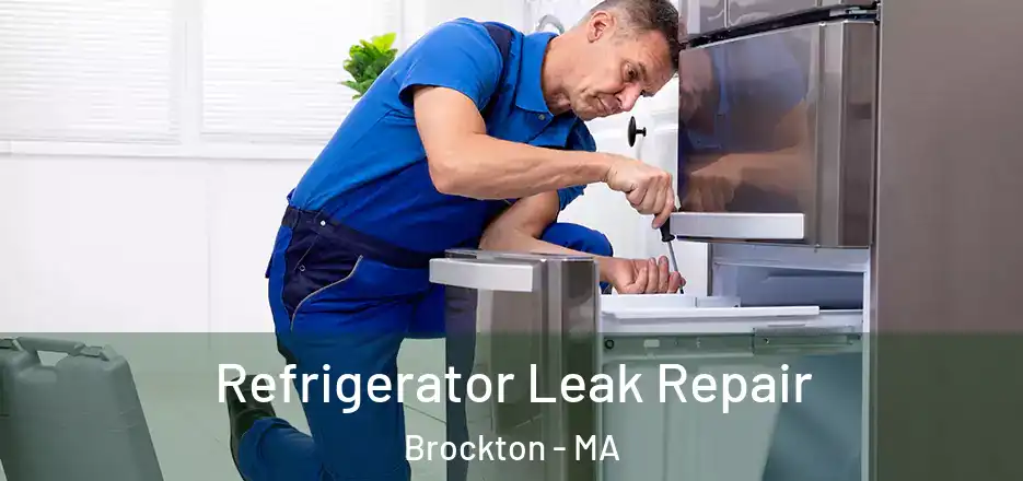  Refrigerator Leak Repair Brockton - MA