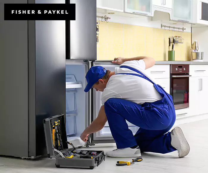 Top-Rated Fisher & Paykel Appliance Experts: Your Brand Specialist in Brockton, MA