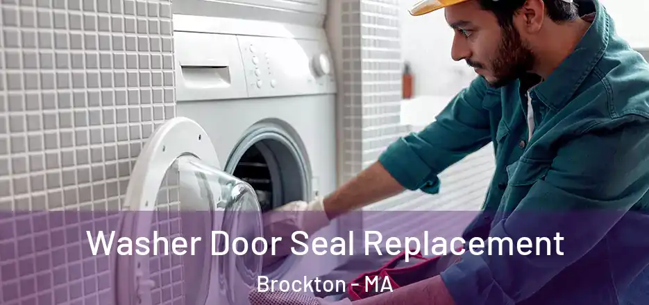  Washer Door Seal Replacement Brockton - MA