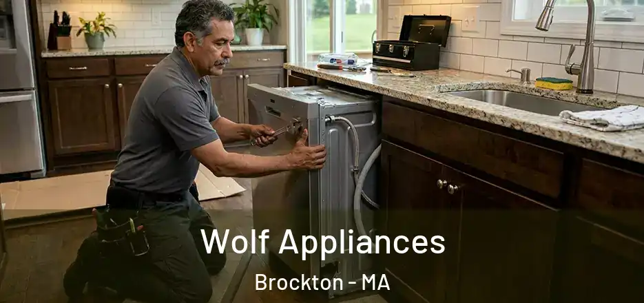 Wolf Appliances Brockton - MA
